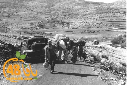 nakbaja1948 (16).jpg